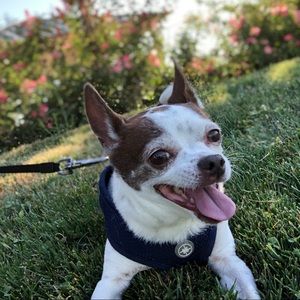 Meet your Posher, Olivia